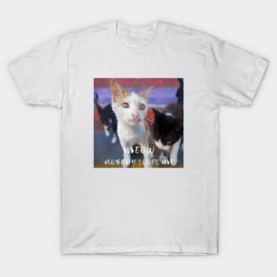 Meow I am a lonely kitty nobody loves me T-Shirt